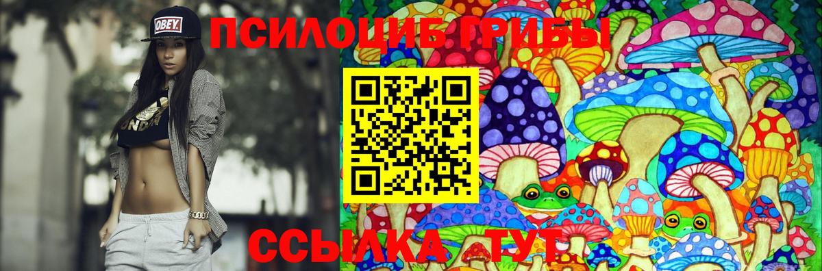 Кизляр  Галлюциногенные грибы ЛСД  Вход с VPN  Галлюциногенные грибы GOLDEN TEACHER 