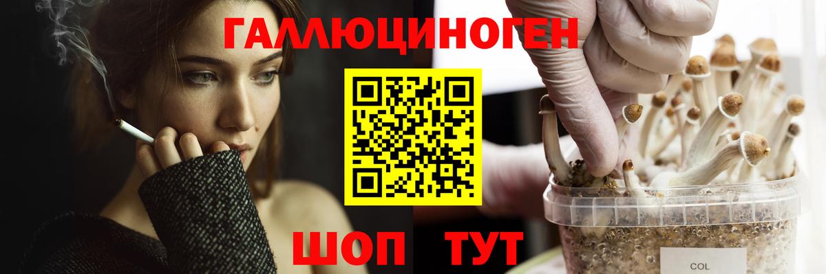 Галлюциногенные грибы Cubensis Кизляр